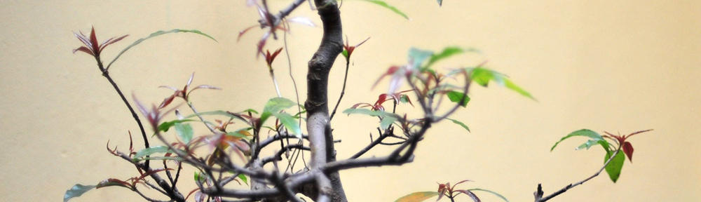 Jasmin Nowak – Selbständige Vertriebspartnerin